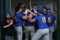 thum pict